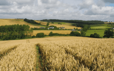 The Allerton Project teams up with Leicestershire County Council and the NFU to deliver a virtual Sustainable Farming and Food Chain Workshop.