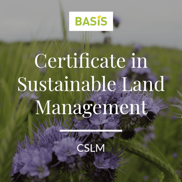 Certificate in SLM