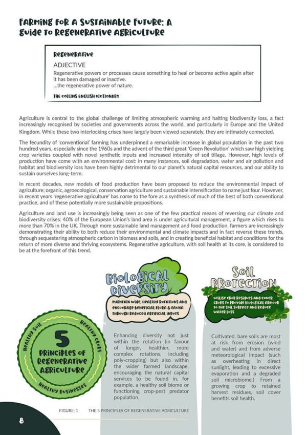 Farming for a Sustainable Future - Image 4