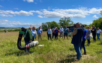 Nurturing on farm Nature